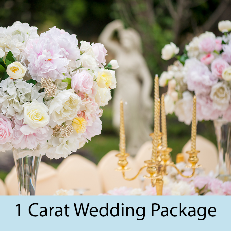 Wedding Planning 1 Carat Package