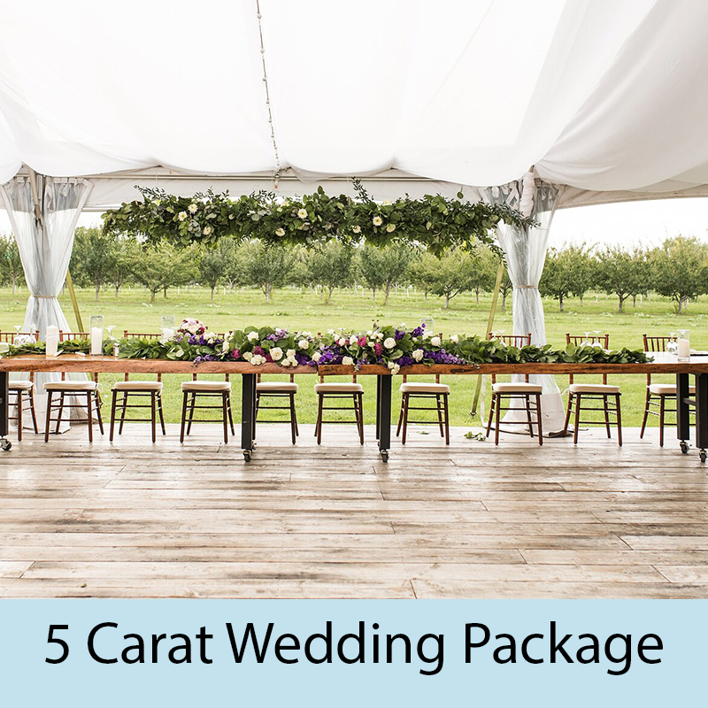 Wedding Planning 5 Carat Package